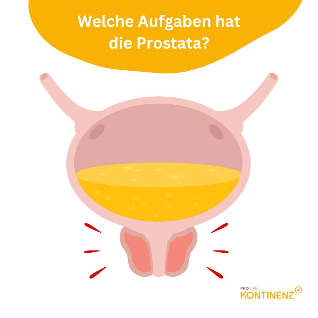 Prostatahypertrophie