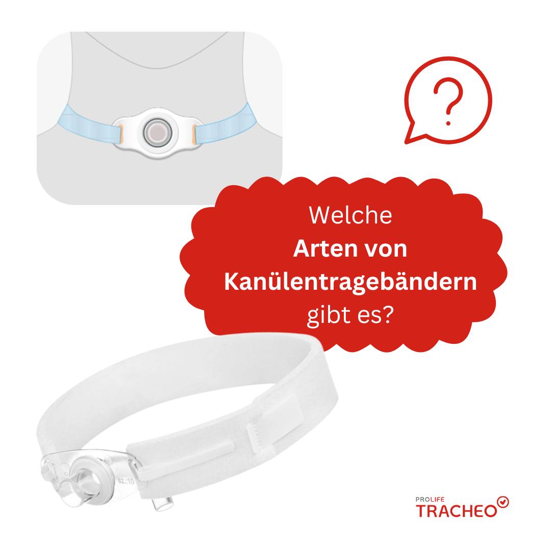 Tragebänder Arten