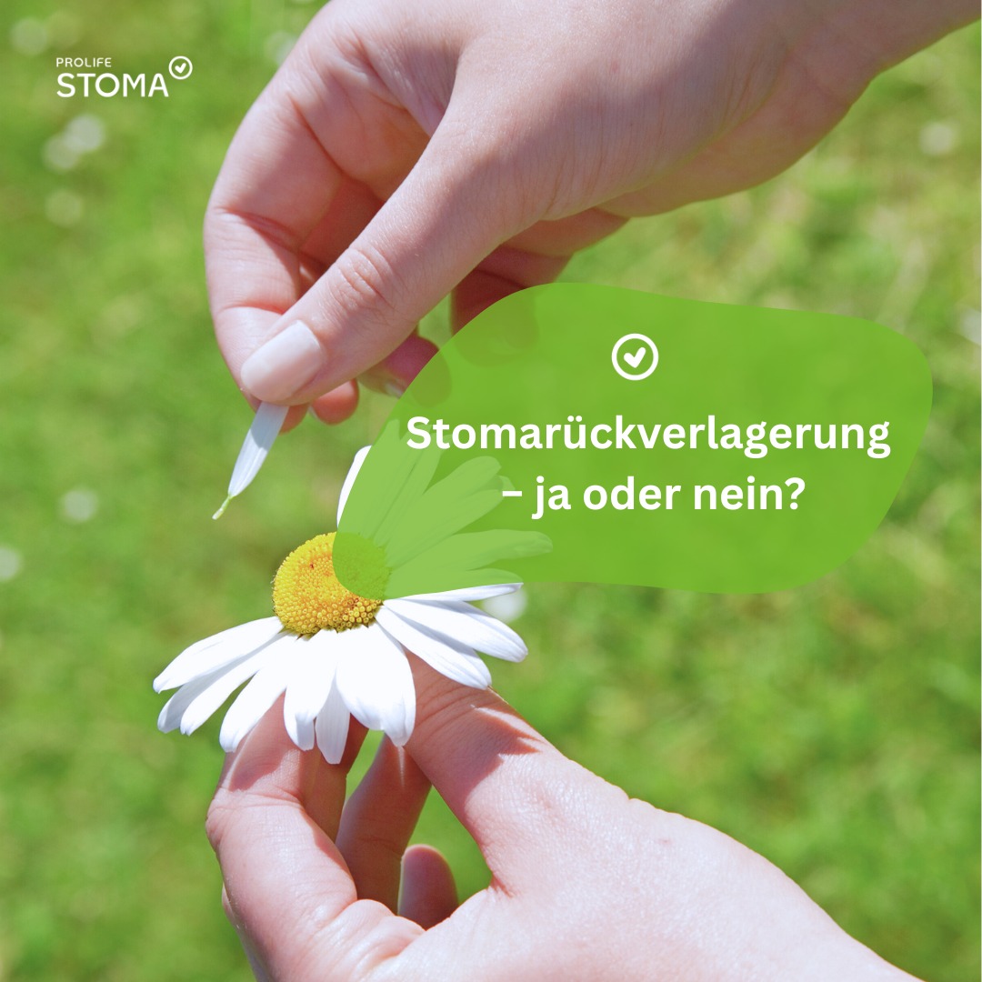 Entscheidung Rückverlagerung