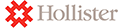 Hollister Incorporated Logo