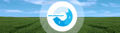 Lebensqualitätsdiagramm auf einem Feld